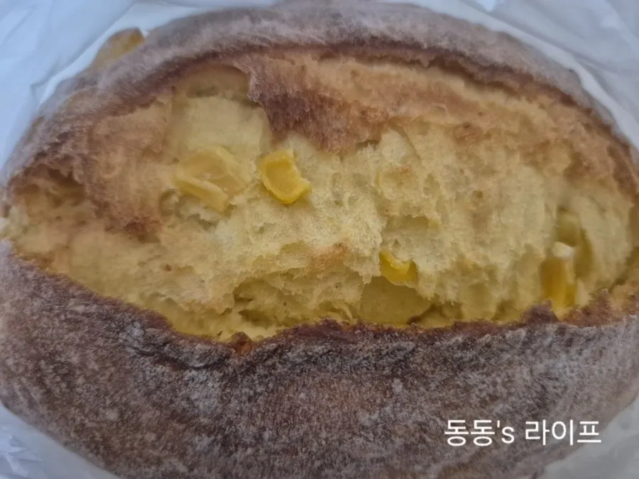 Cross-section of corn campagne with corn kernels