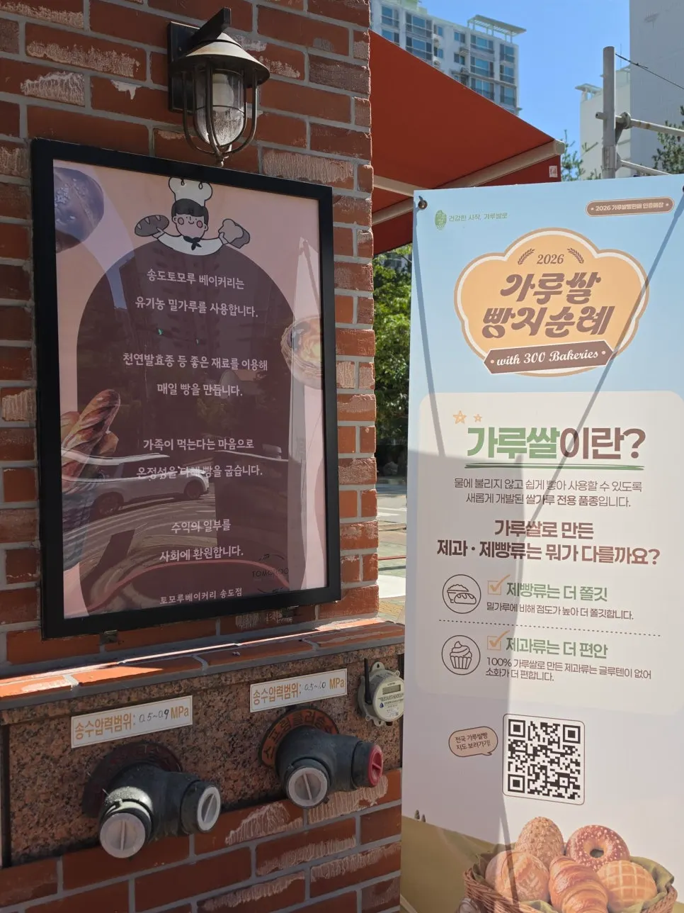 베이커리 매장 내부 진열 전경