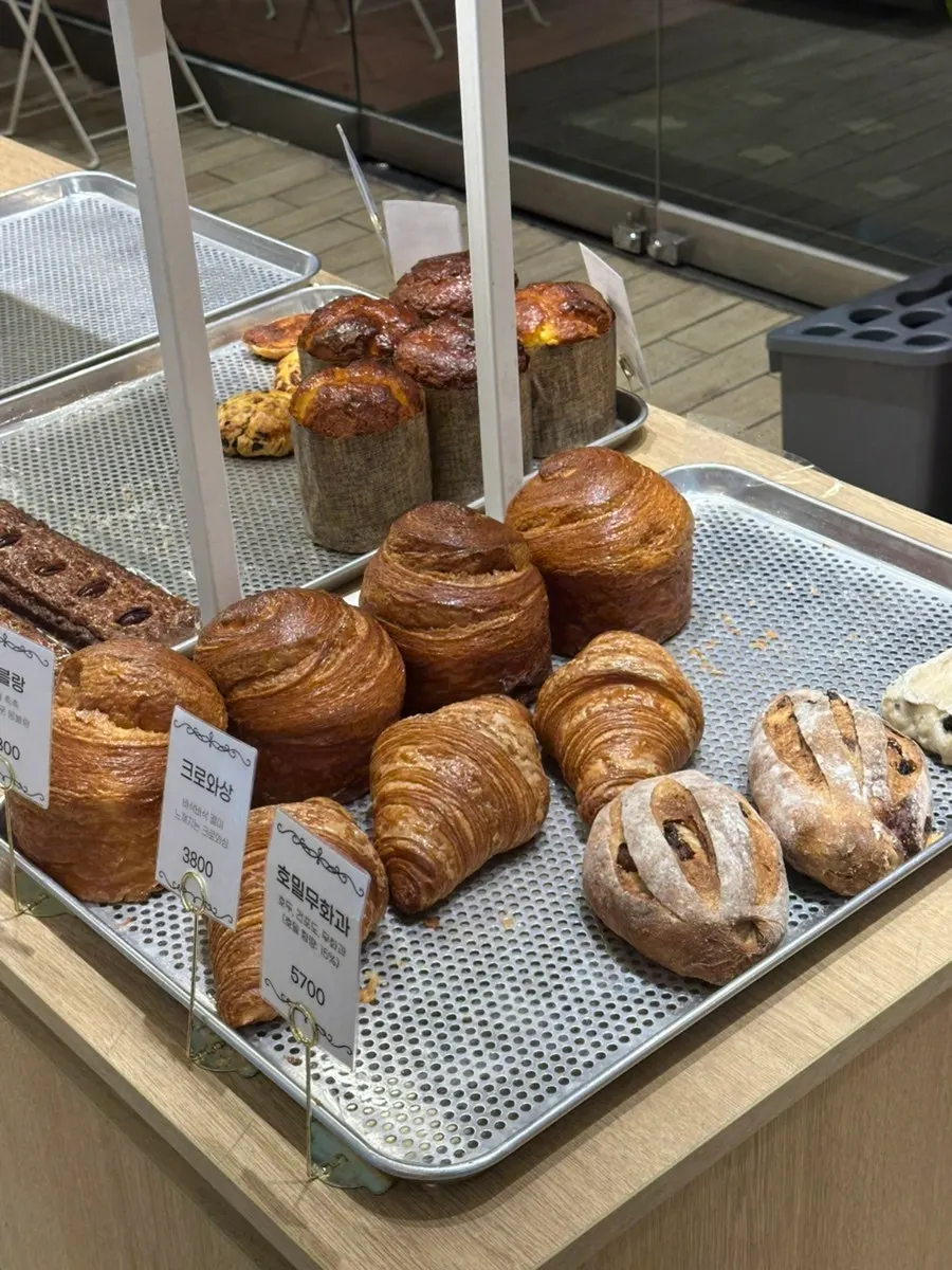 Showcase with cakes and baked snacks together