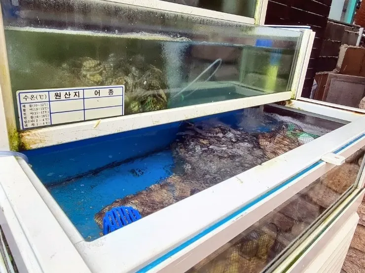 송정옥 입구 해산물 수조