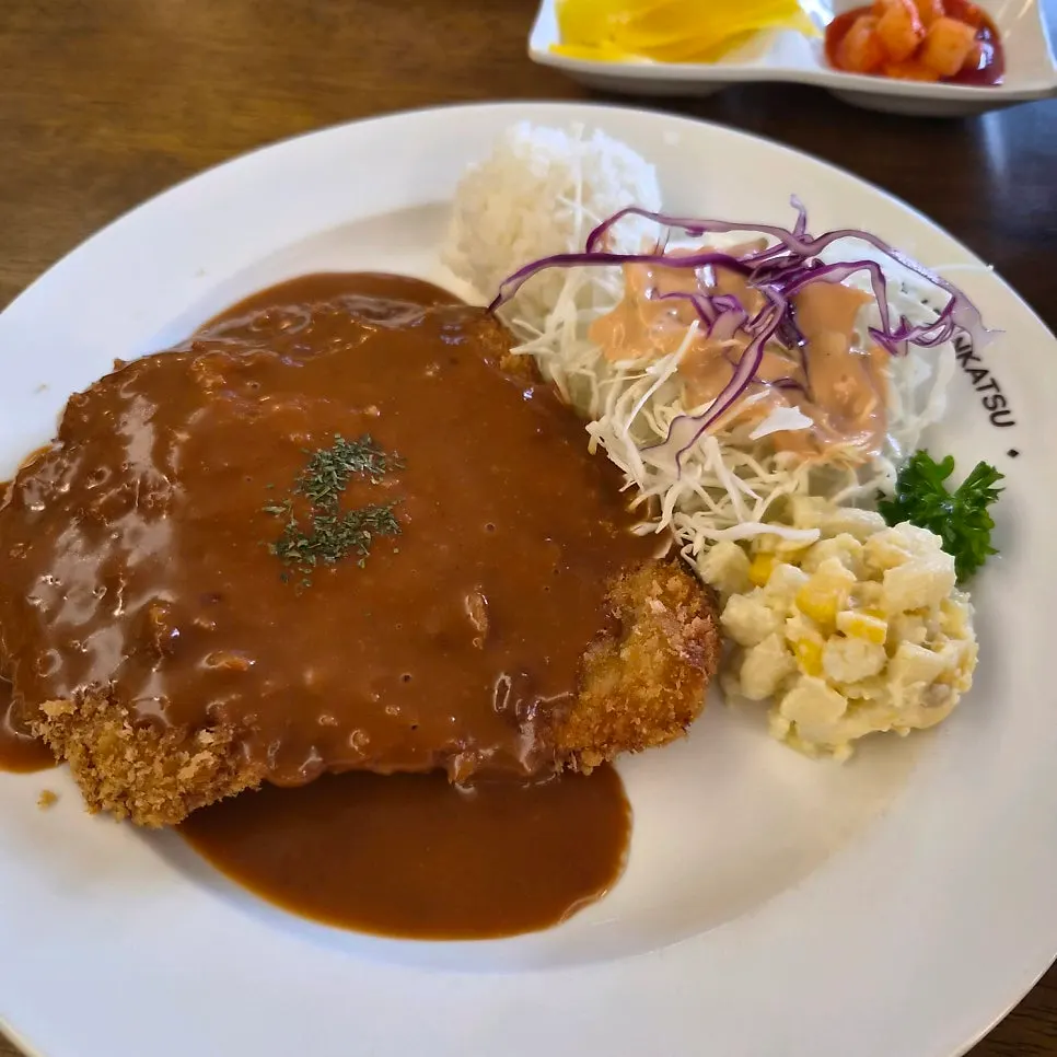 Classic pork cutlet set with vegetables and salad on the side