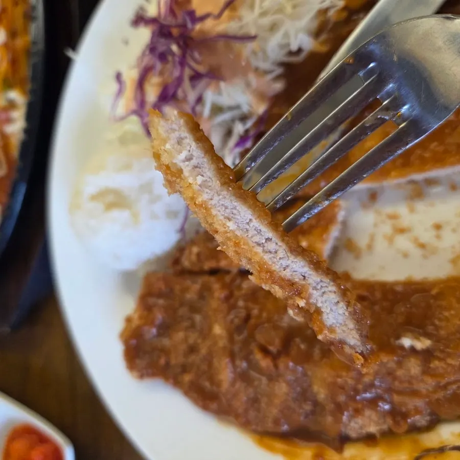 A crispy piece of pork cutlet