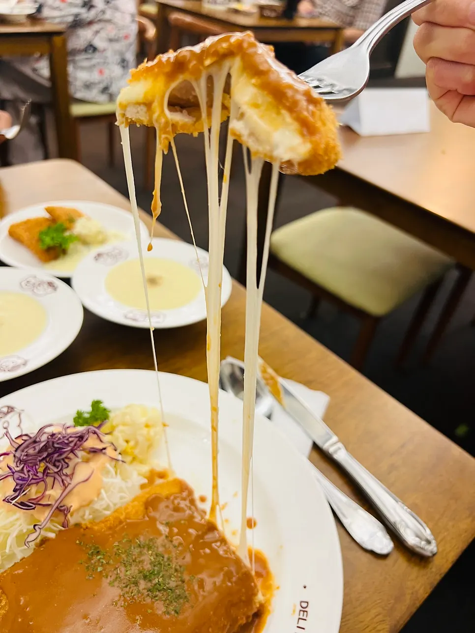 A piece of cheese cutlet packed with cheese