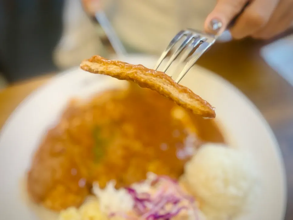 Pork cutlet plate served with rice and cabbage salad