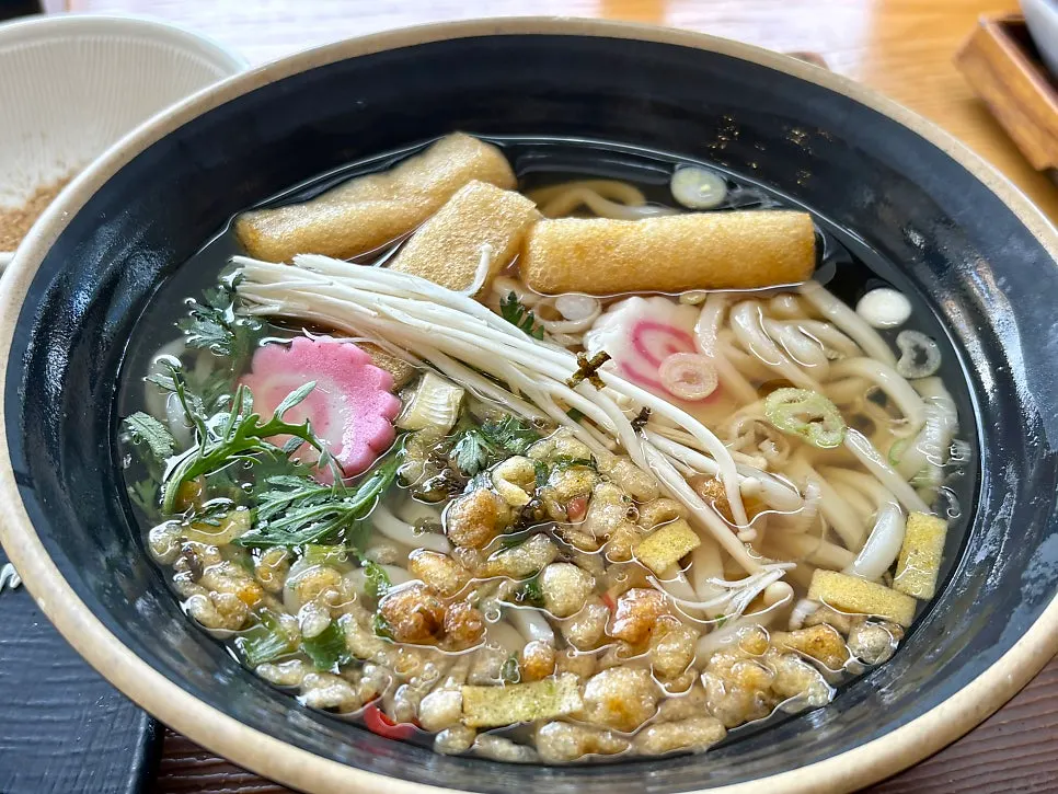 Bowl of udon that came with the set