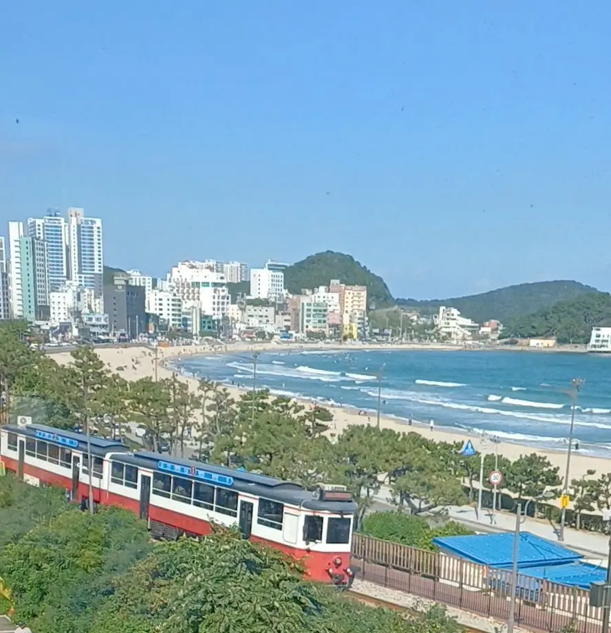 창가에서 바라본 철길과 부산해변열차