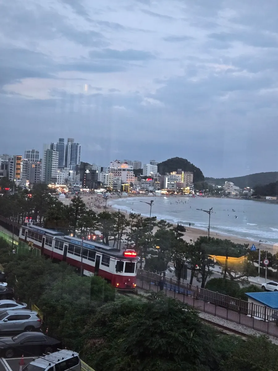창밖으로 지나가는 송정 해변열차