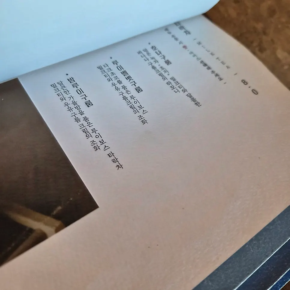 수월경화 차 메뉴 페이지