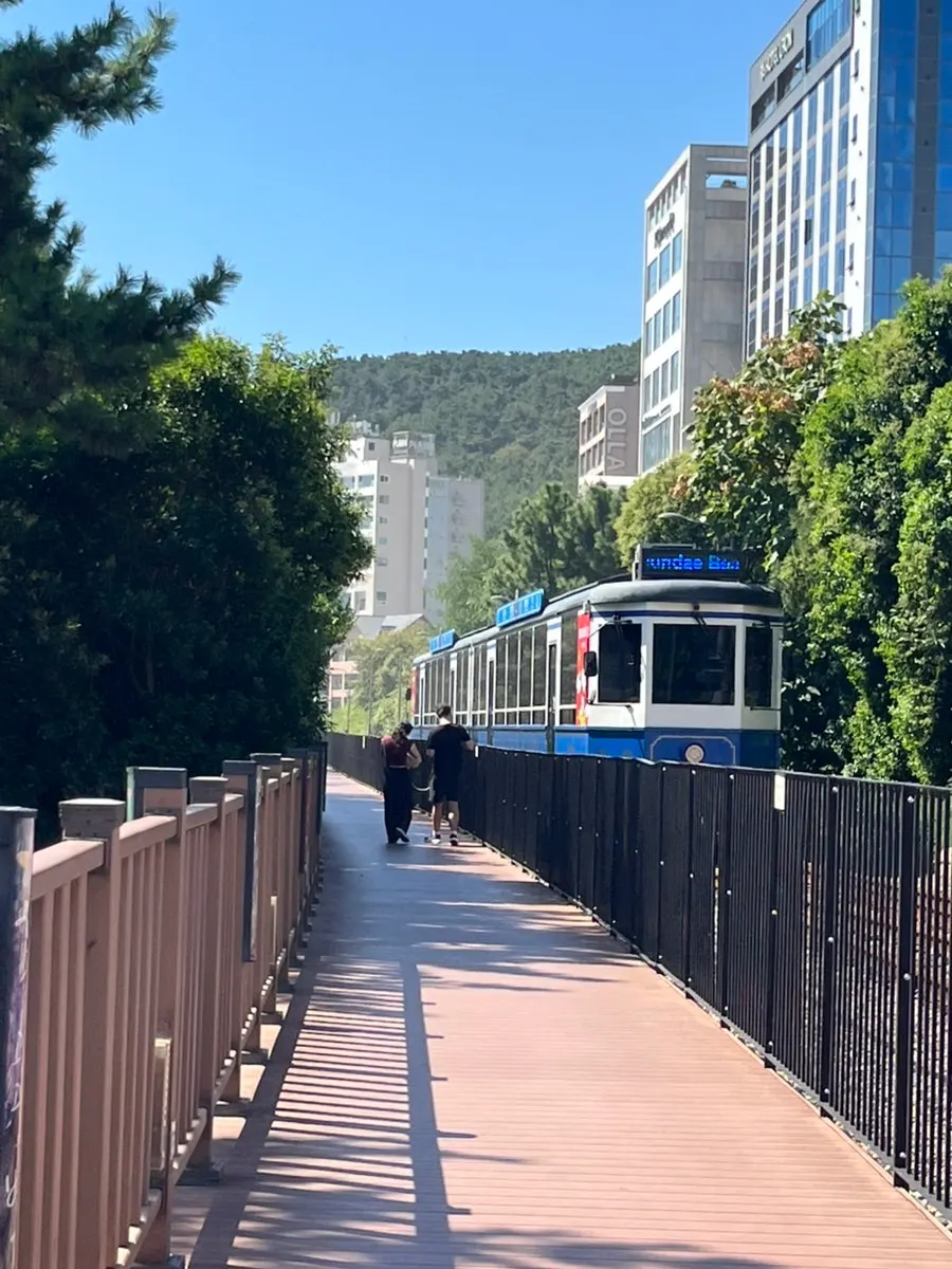 Songjeong Beach and the beach train route in front of Suwolgyeonghwa