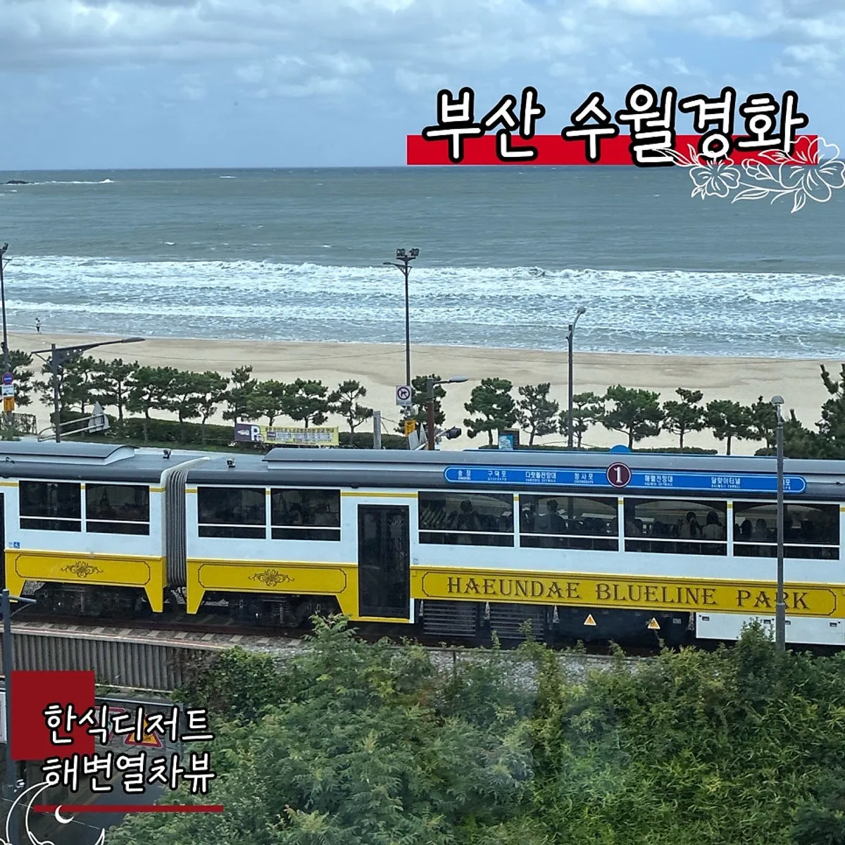 송정 수월경화 카페 방문 모습