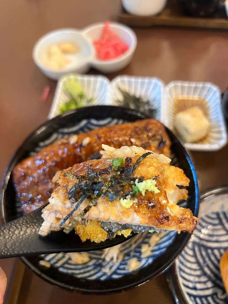 Jumbo Unaju and Saba Ochazuke compared
