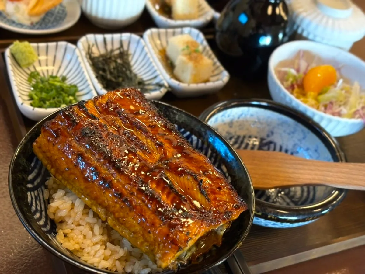 Generous eel and salmon rice bowl spread