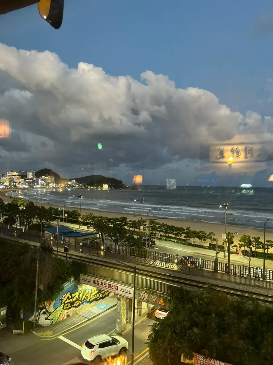 부산 송정 카페 수월경화 밤마실 분위기