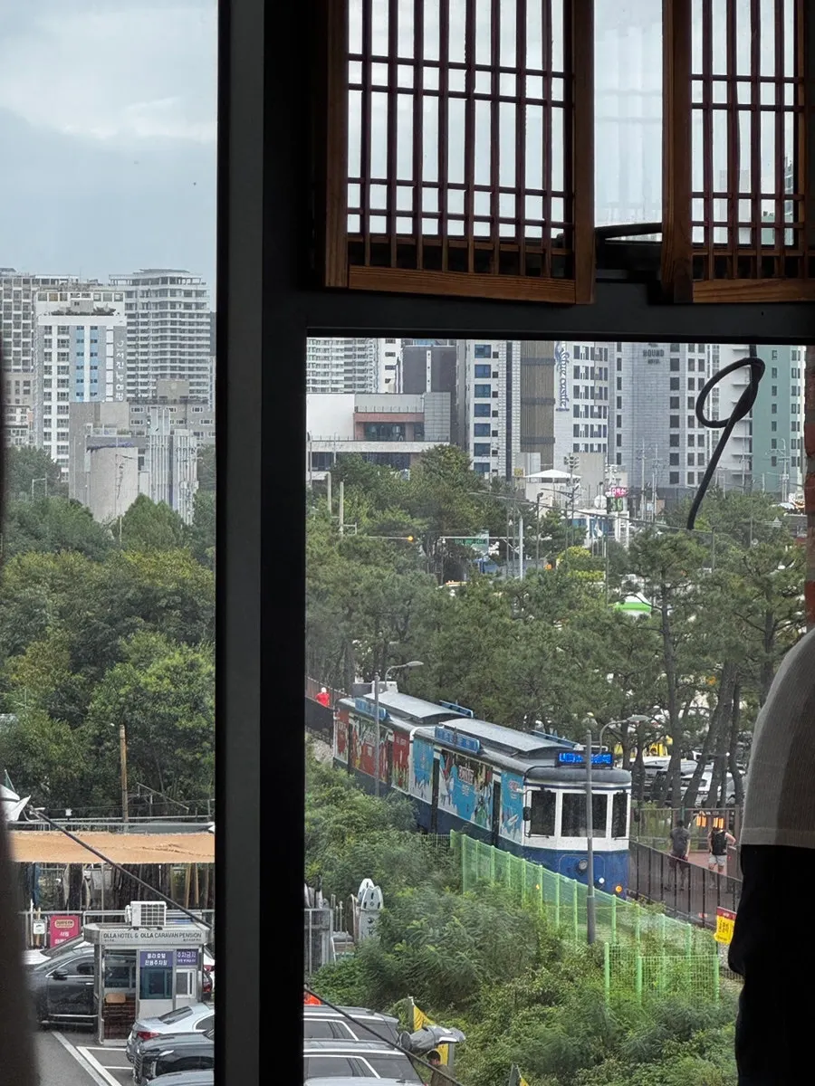 Sea and train view from Suwolgyeonghwa's window on a cloudy day