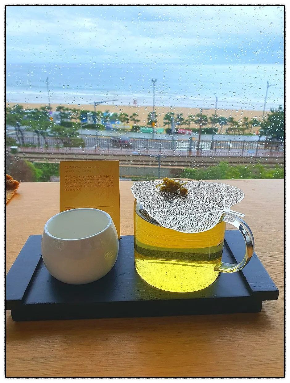 Chamomile Elixir tea with chrysanthemum and chamomile