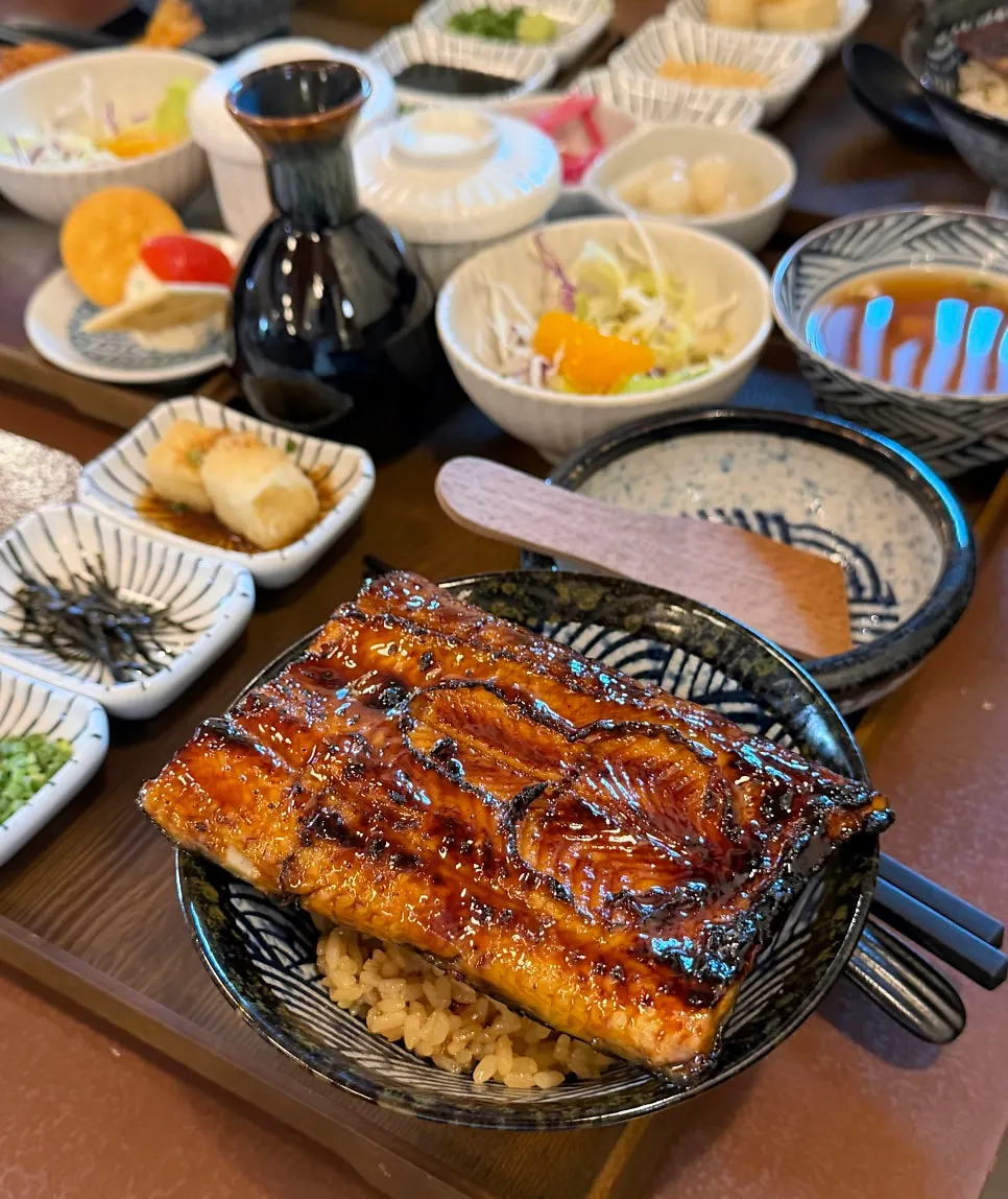 Close-up of the eel rice bowl