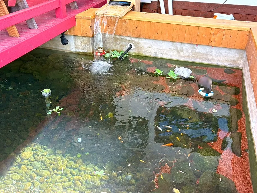Outdoor space and pond at Yuok's entrance