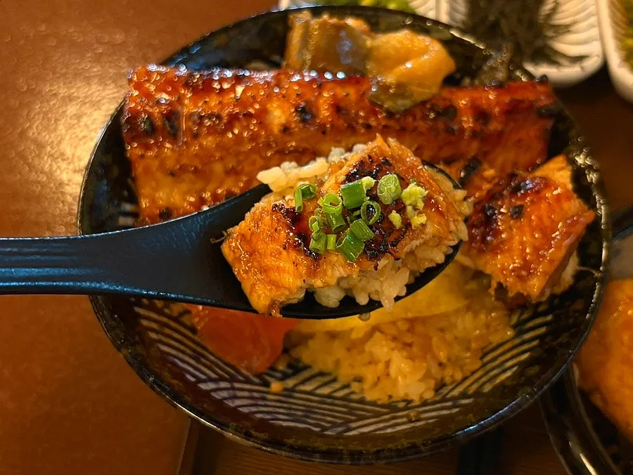 Close-up of glossy grilled eel