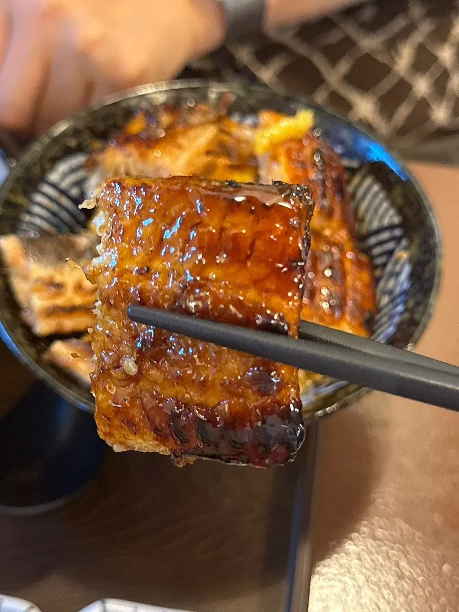 김과 파를 곁들인 장어덮밥