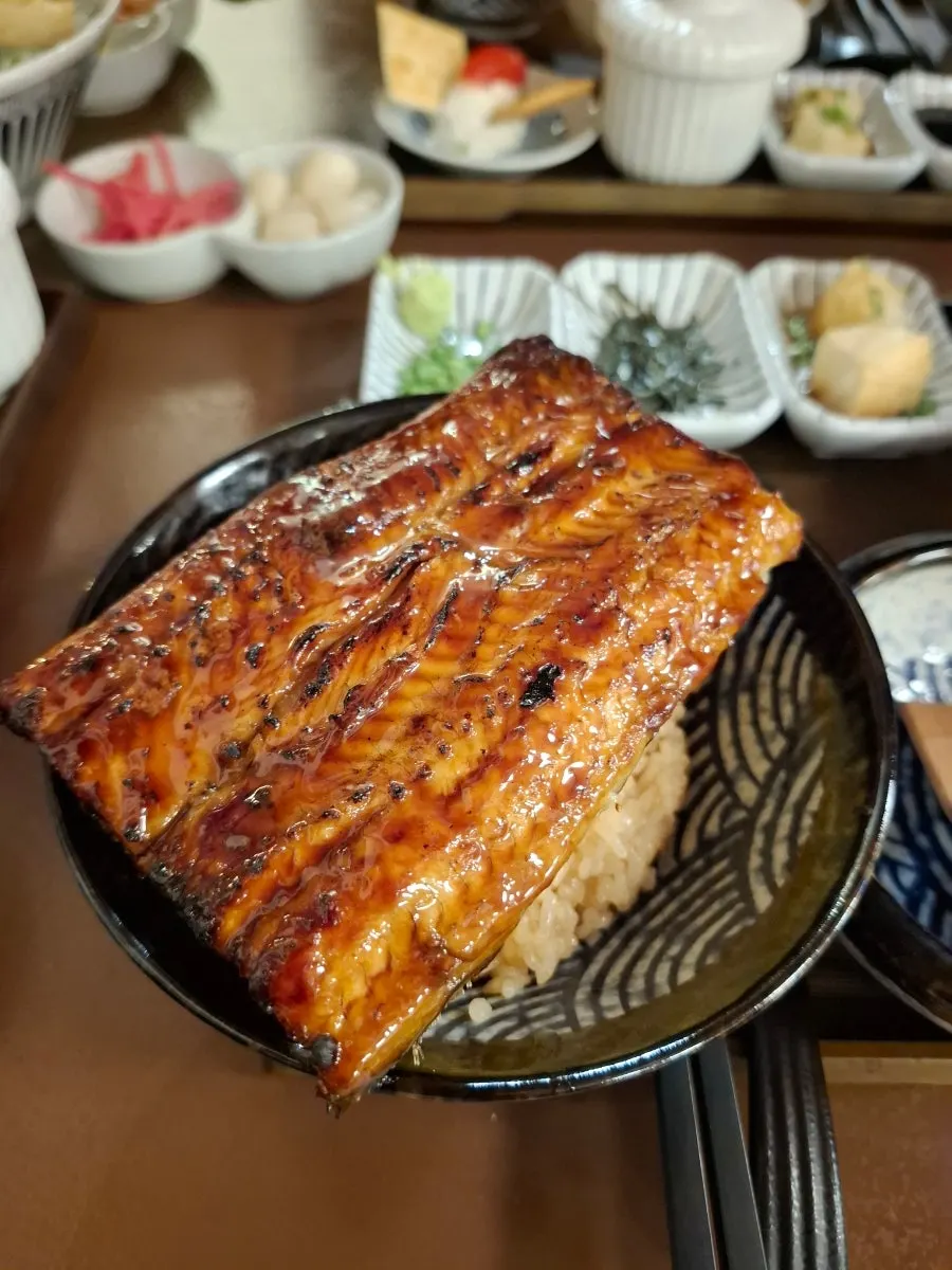 밥 위에 올려진 부드러운 장어구이