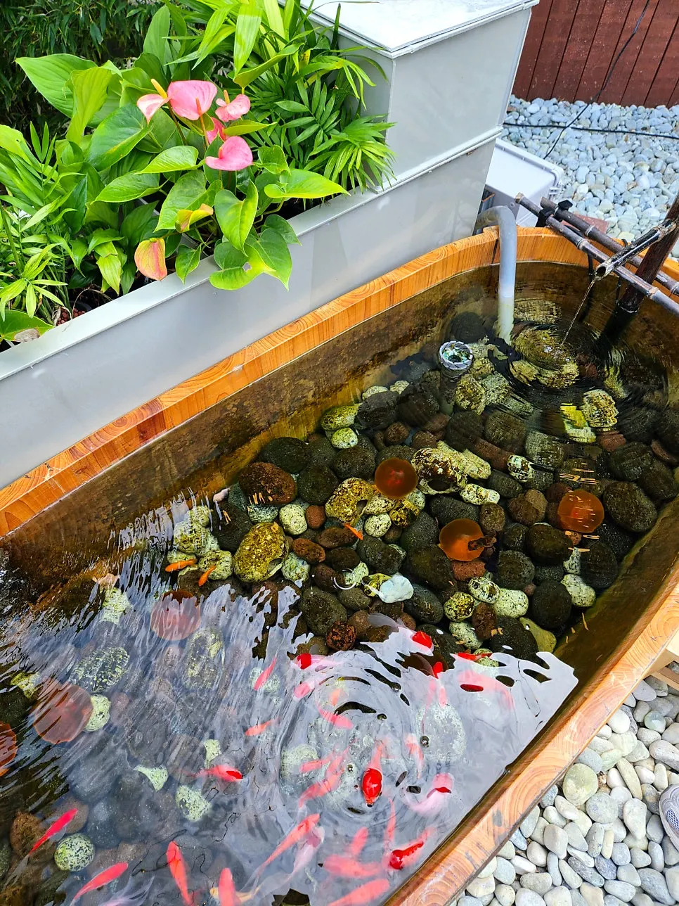 Ruang luar Yuok dengan buluh dan kolam