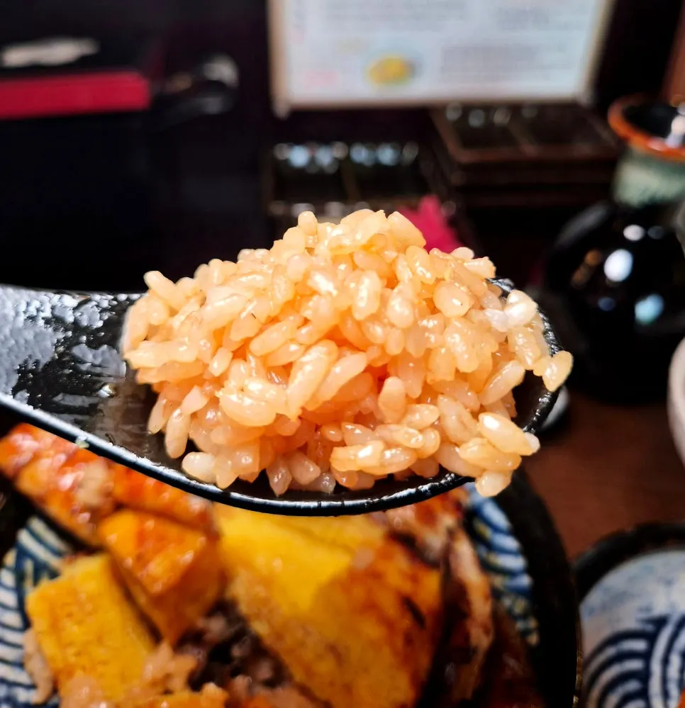 Butiran nasi yang meresap sos kicap
