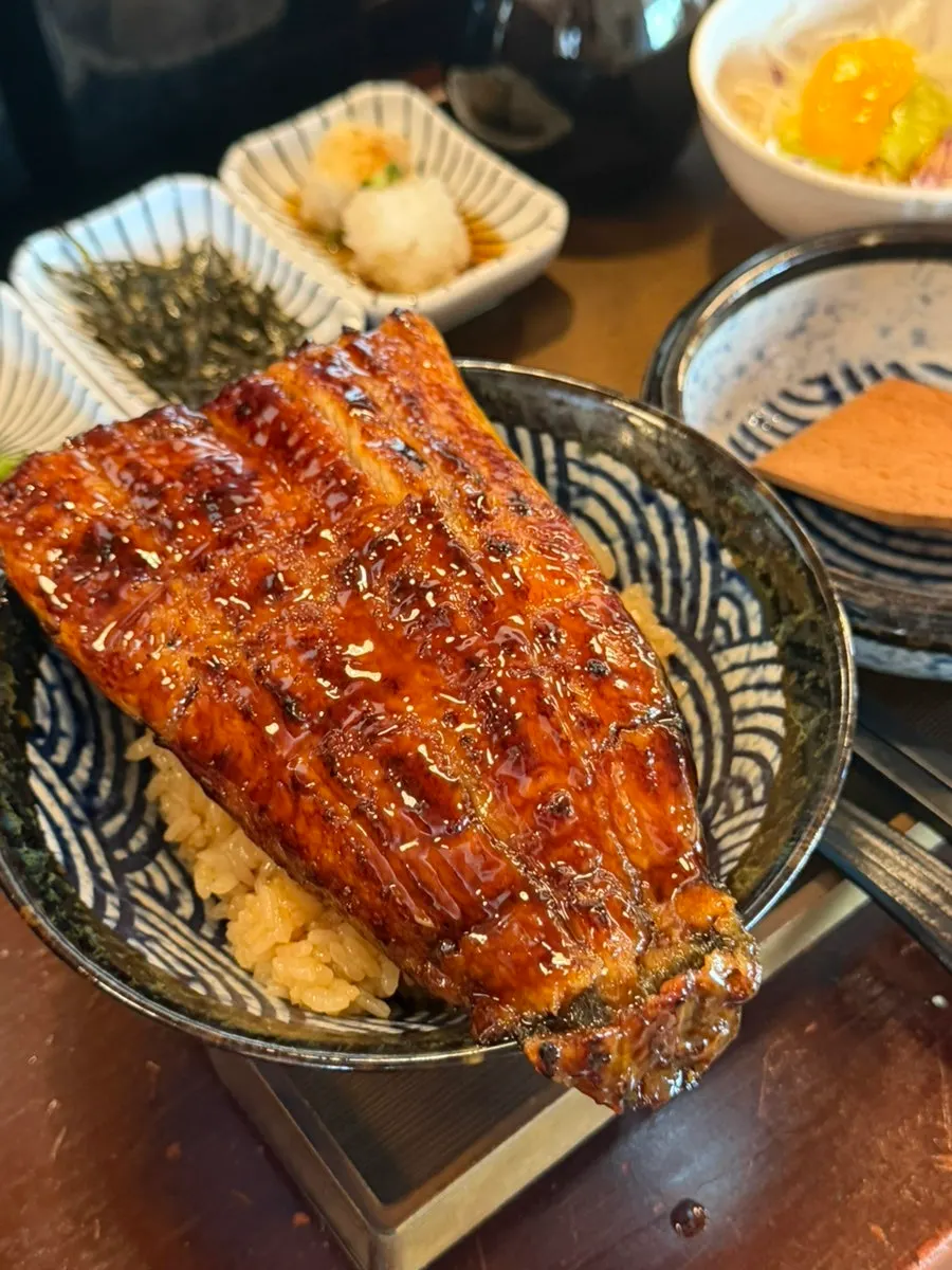 Close-up of Yuok's glossy eel rice bowl