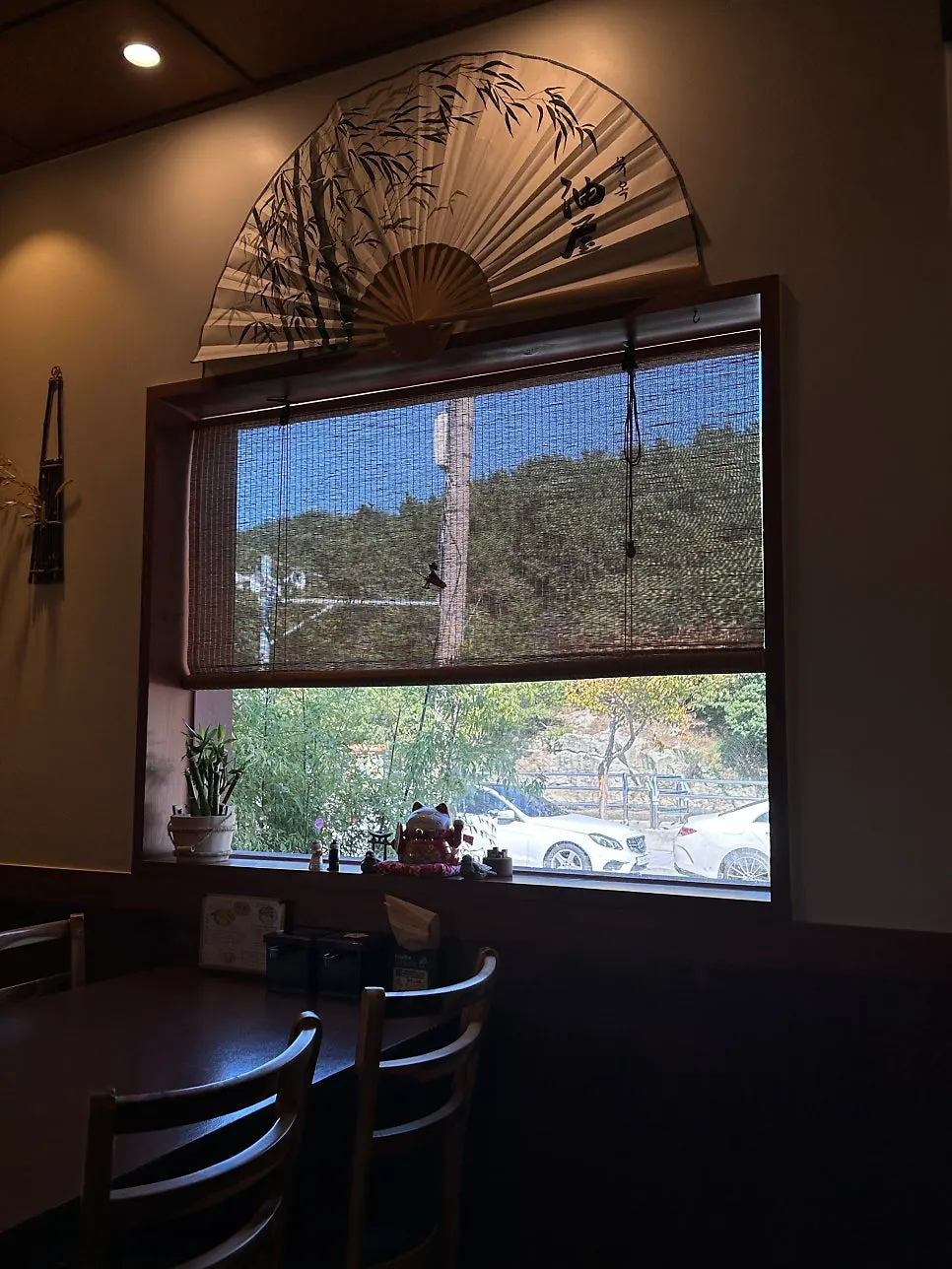Yuok's interior filled with natural light