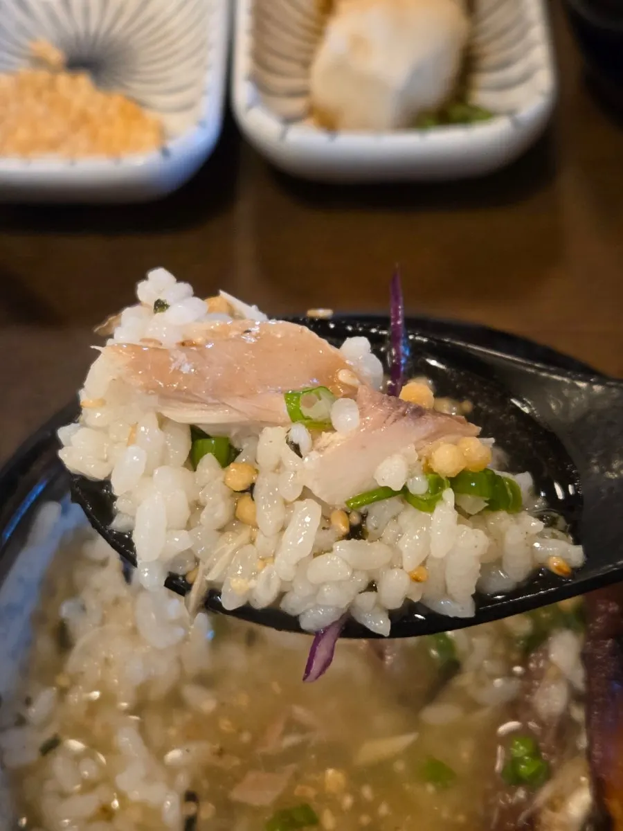 A spoonful of ochazuke topped with green onion and rice balls