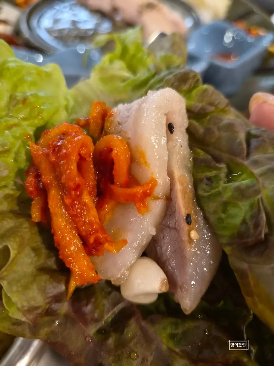 수육에 무채김치와 오징어초무침 곁들인 한 점