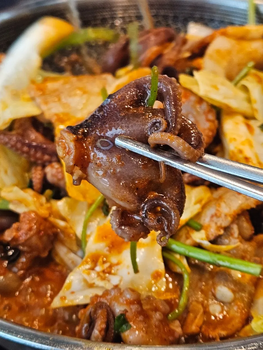 The first piece of octopus lifted up with chopsticks