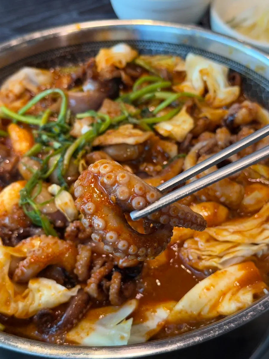 A chopstick-full of octopus coated in red sauce
