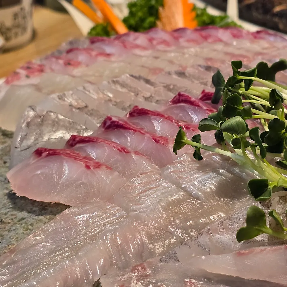 Close-up of flounder, rockfish and mullet slices