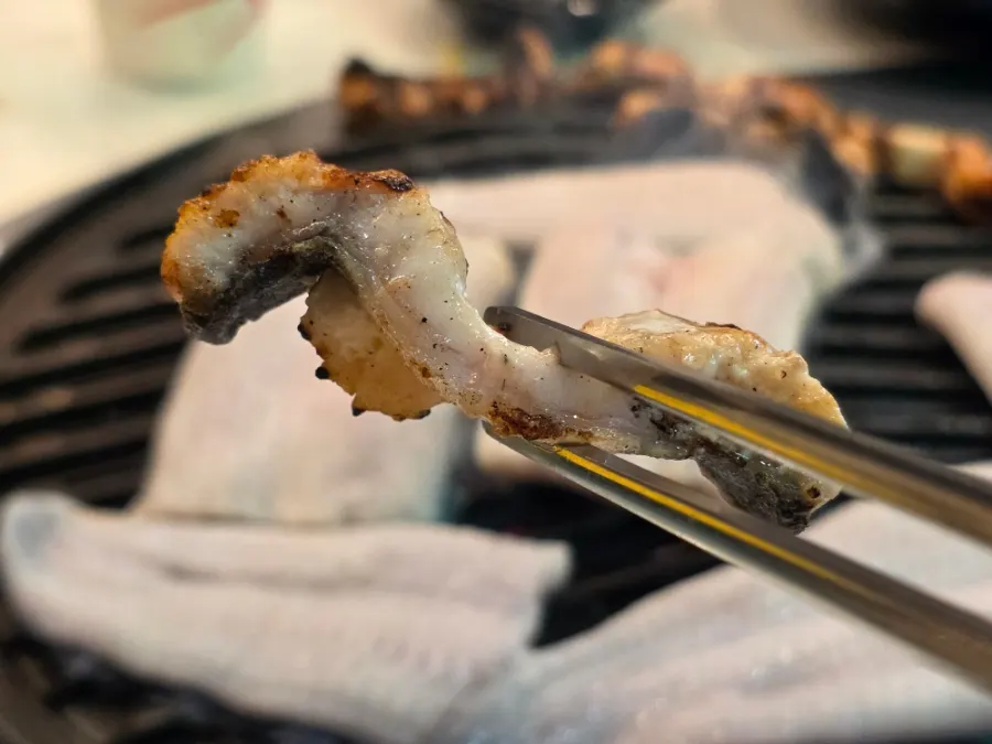 Belut air tawar bakar yang menunjukkan ketebalannya