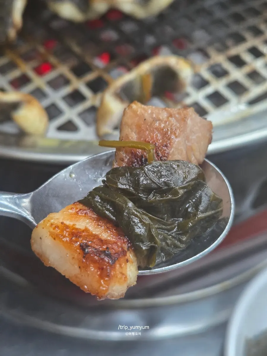 Grill plate loaded with eel, pork belly, and duck neck together