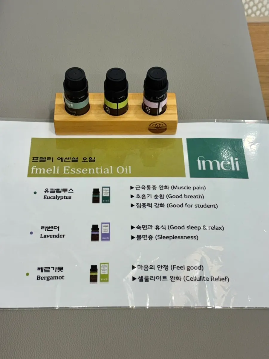 차 설명이 적힌 안내 종이