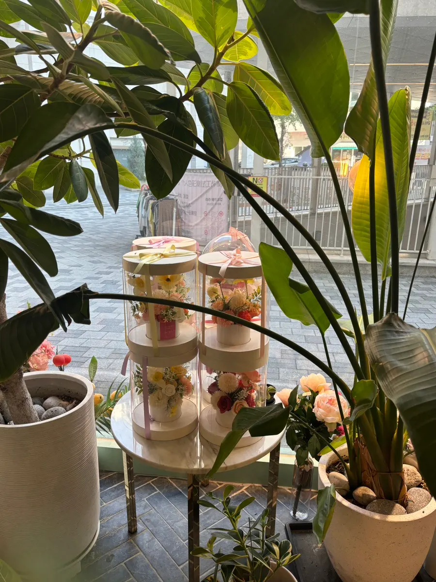 Various flowers displayed in the store