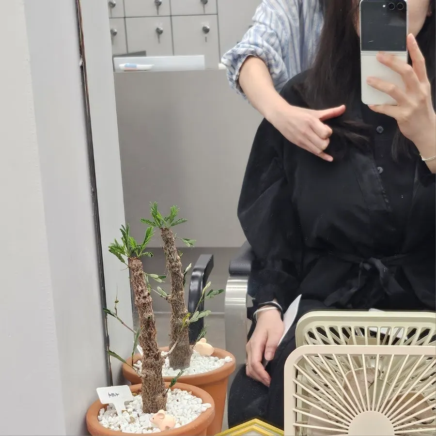 Consultation on hair condition before the cut