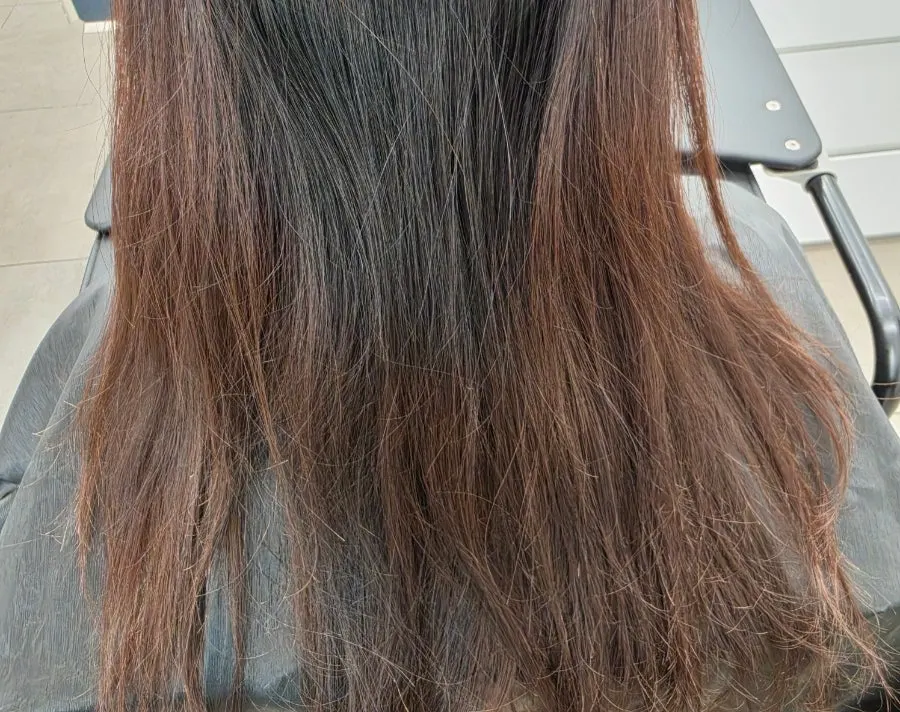 시술 전 모발 상태 상담