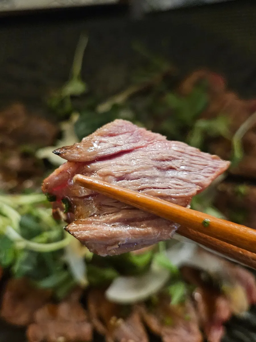 Another photo of beef tataki