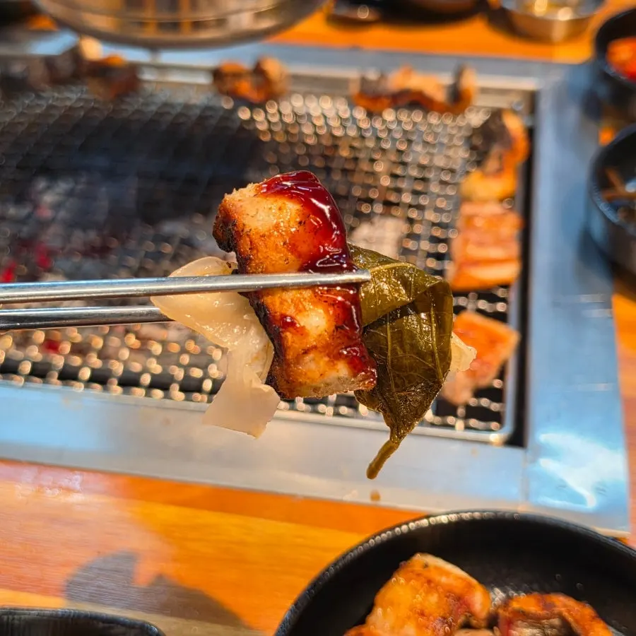 A piece of grilled eel dipped in teriyaki-style sauce