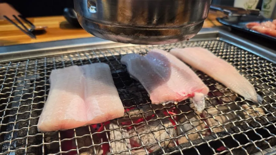 Freshwater eel grilling over charcoal