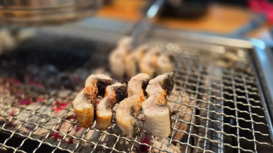 Eel grilled and lined up in even lengths