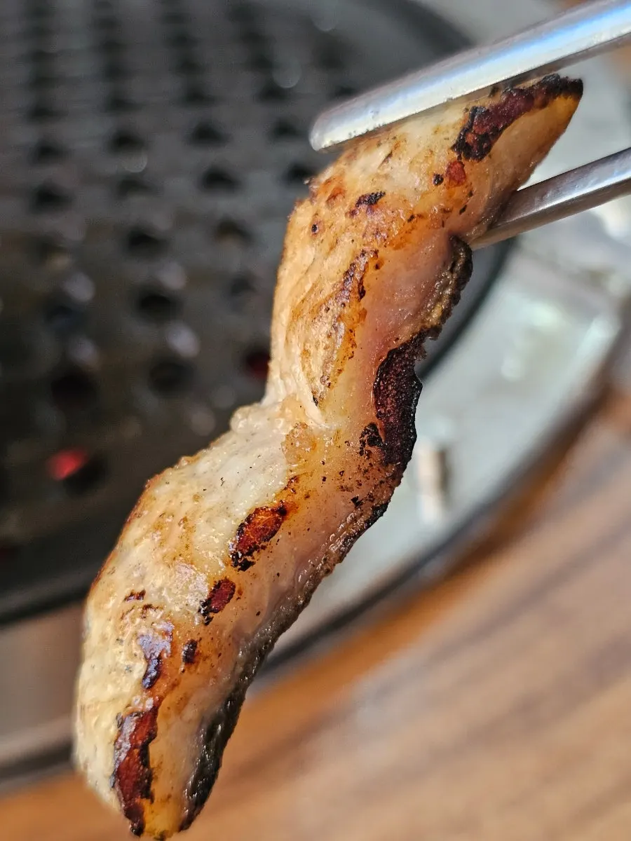 Close-up of golden-brown grilled eel
