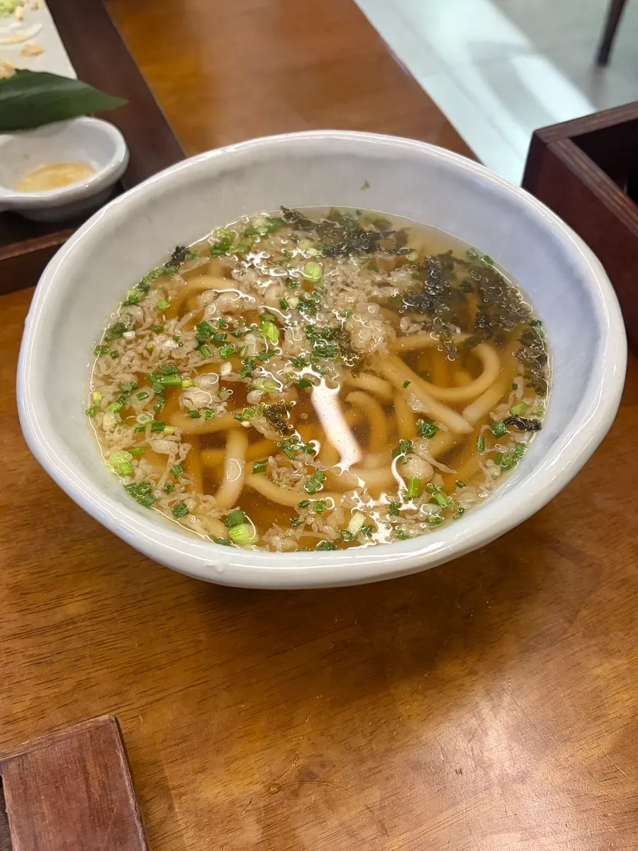 The extra order of udon on its own
