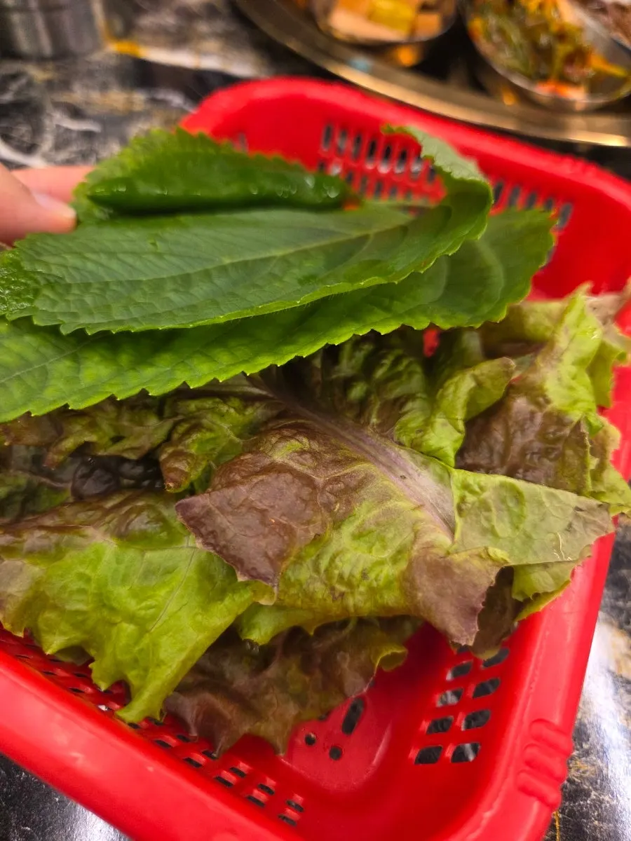 순돌이식당 쌈채소 접시