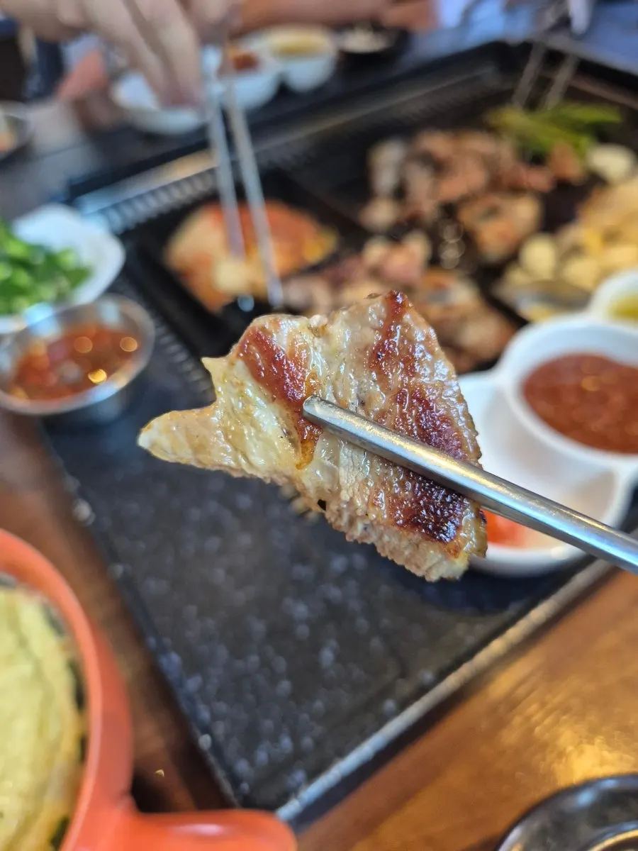 A juicy piece of grilled meat