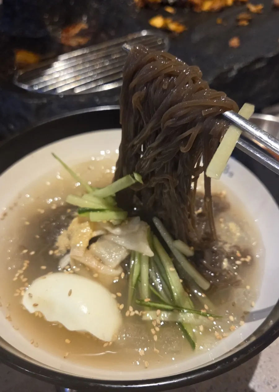 살얼음 육수의 물냉면