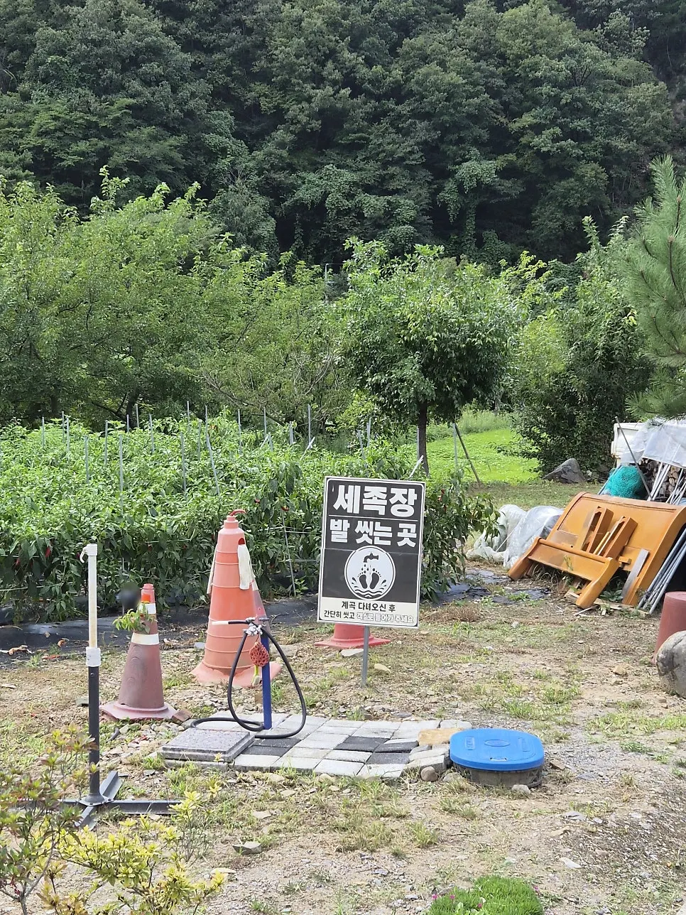 ソヤンアム黄土マウルペンション付近の渓谷の自然風景