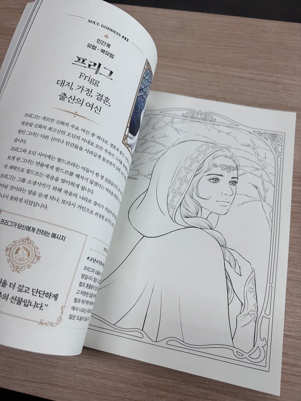 Coloring book with a variety of goddess illustrations